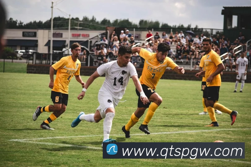 球探体育官网服务体系